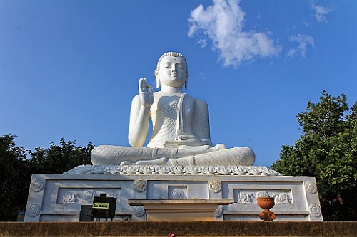 SriLan (226)